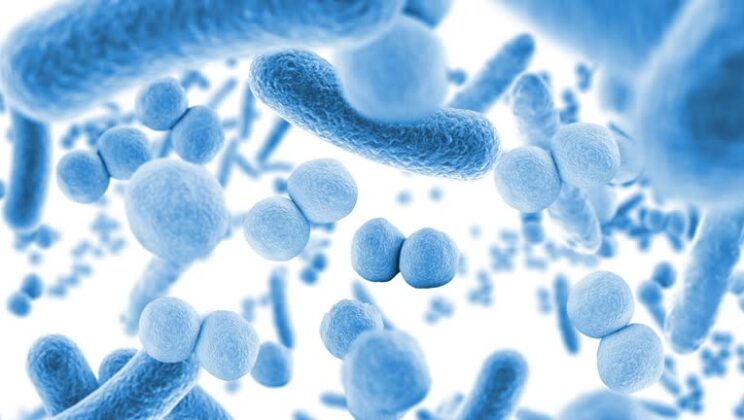 Probiotics and Your Emotions: How “Good” Bacteria Could Brighten Your Mood
