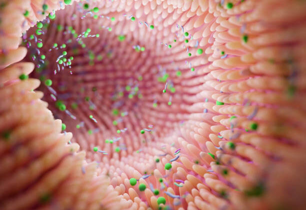 What Is the Microbiome, and Why Does It Matter?