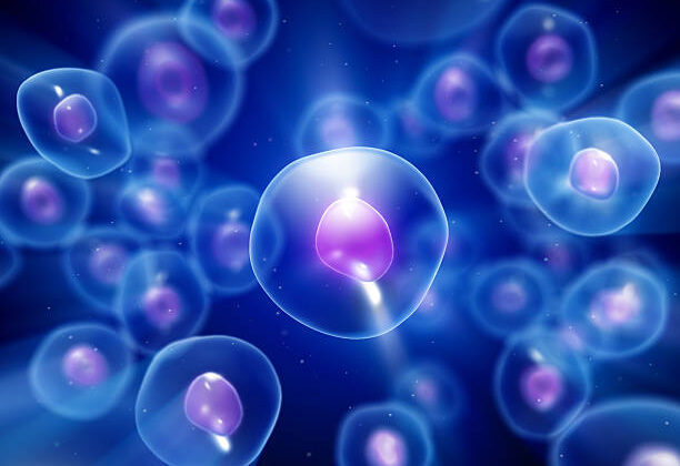 How Stem Cells Are Revolutionizing Regenerative Medicine