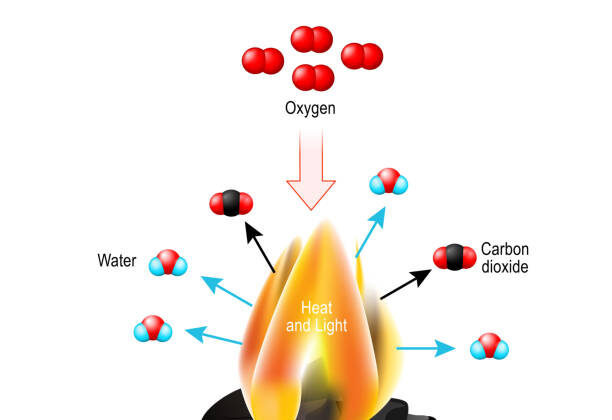 What Is a Chemical Reaction? Types and Examples Explained
