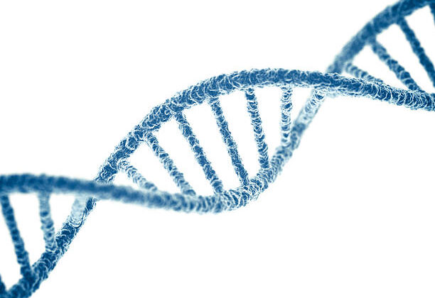 What is DNA? Understanding the Blueprint of Life