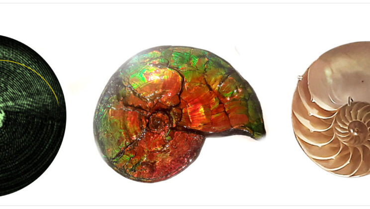 Researchers Discover Light That Twists Like Nature’s Spirals