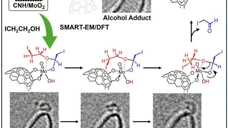 Scientists Capture Catalysis in Action at the Atomic Scale for the First Time