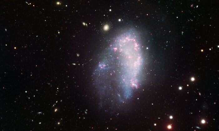 Dark Galaxies: The Hunt for Starless Halos and the Mysteries of Dark Matter