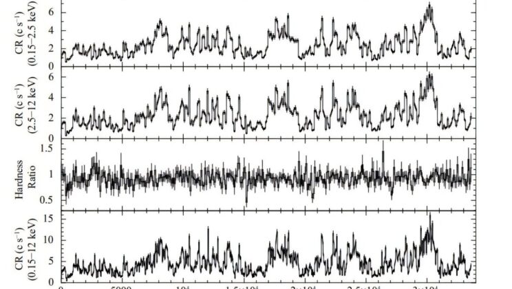 Unraveling the Mystery of 4U 0728-25: A Persistent X-ray Pulsar in Our Galaxy