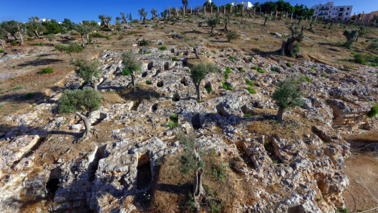 Ancient DNA Reveals the True Origins of the Punic People