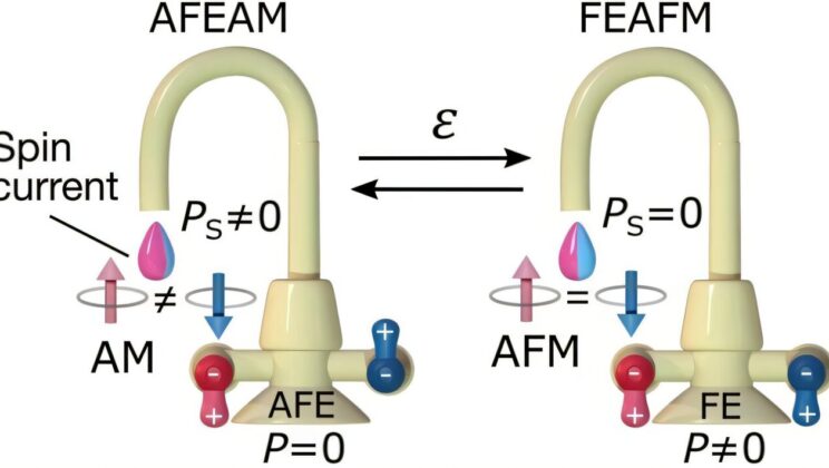 The Breakthrough of Altermagnets in Magnetic Device Control