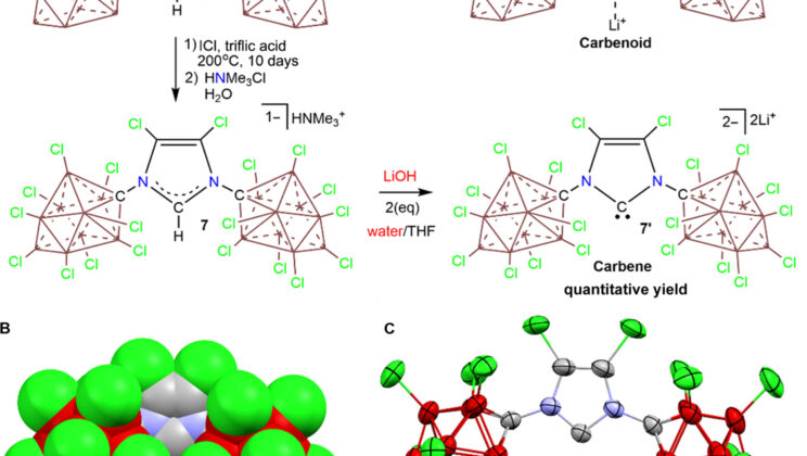 Water, Carbon, and the Ghost Molecule: How Chemists Brought a 67-Year-Old Theory to Life
