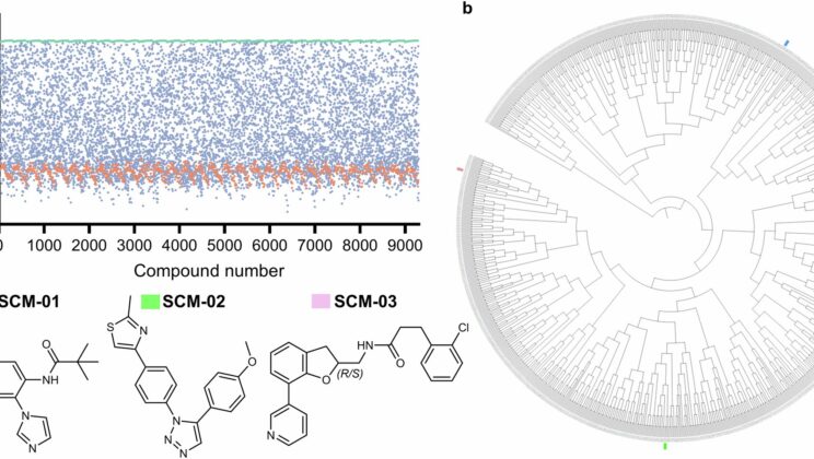 Scientists Crack the Code to Target CYP3A4 Without Off-Target Chaos