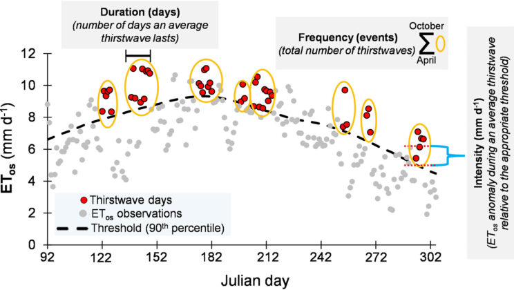 Thirstwaves: A New Climate Threat to Agriculture
