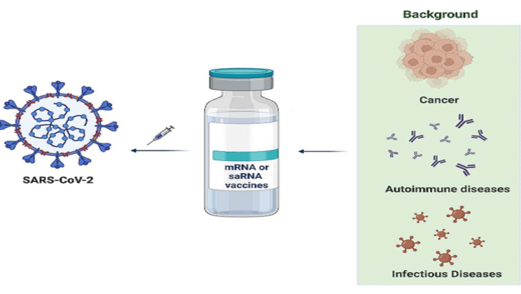 The Role of RNA in COVID-19 Vaccines