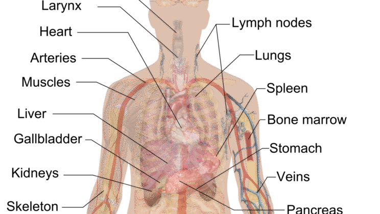 What Is a Medical Mystery? Famous Unsolved Cases