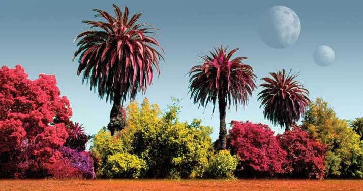 How Life Might Look on Other Planets