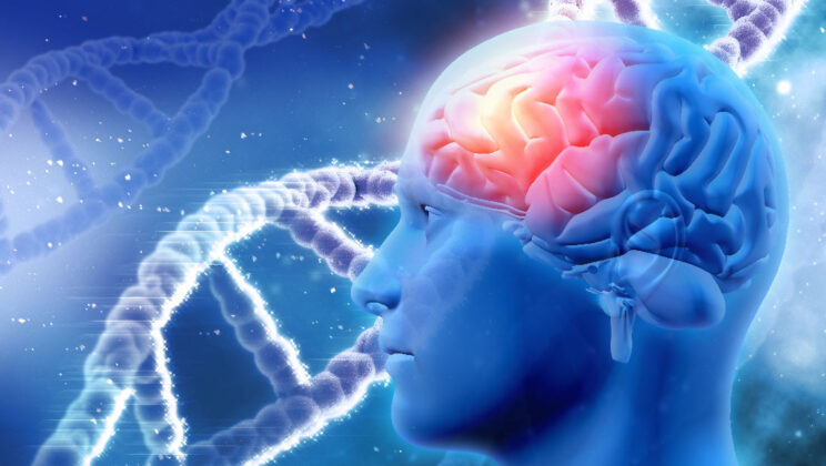 The Mystery That Wasn’t: Scientists Debunk New Brunswick’s ‘Unknown’ Brain Disease