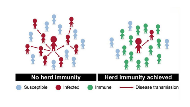 Herd Immunity Explained with Medical Facts
