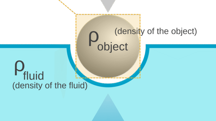 What Is Buoyancy? The Physics of Floating
