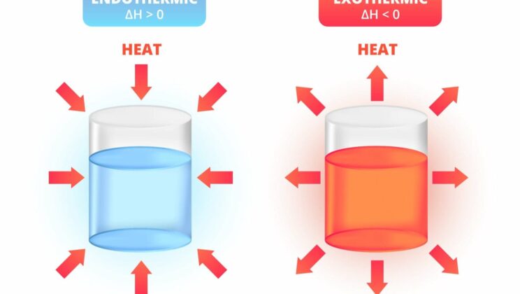 Understanding Endothermic and Exothermic Reactions