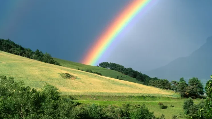 The Physics Behind Rainbows and Other Light Phenomena