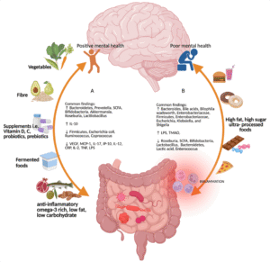 The Link Between Gut Health and Mental Health