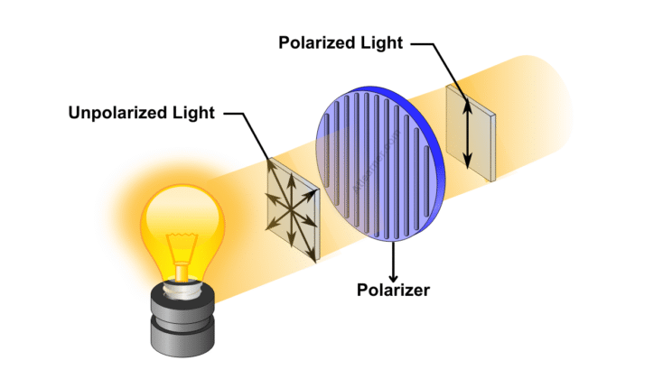 What Is Polarization of Light? Understanding Orientation