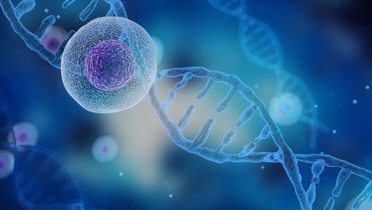 What Is Precision Medicine? Tailoring Treatment with Science