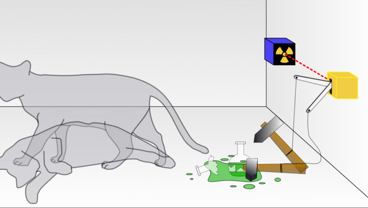 Schrödinger’s Cat Explained: Quantum Mechanics and Paradoxes