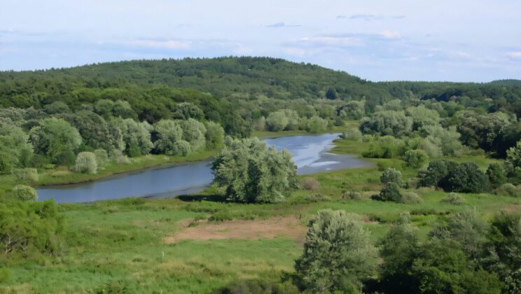 Thoreau’s River Diary Reveals Hidden Signs of Climate Change in New England