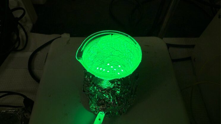 Life Without Life: Scientists Build Self-Reproducing Synthetic Cells Without Biochemistry