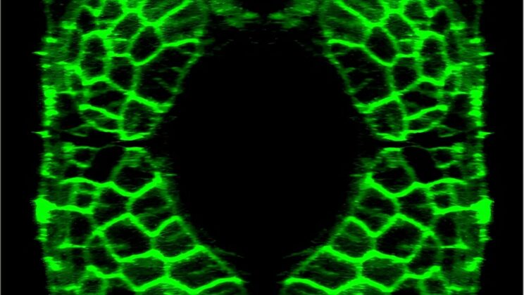 Night Shift May Age Your Muscles Faster, New Study Warns