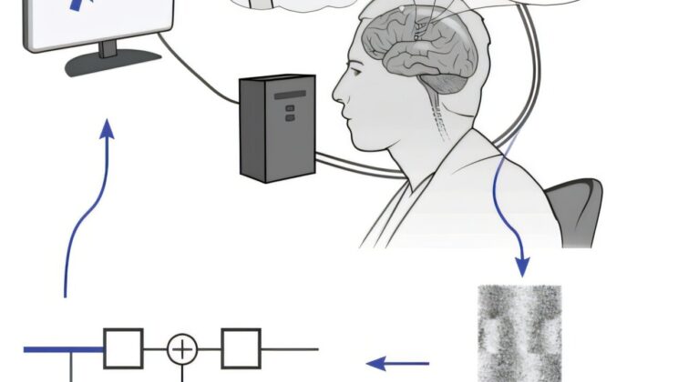 New Brain-Computer Interface Uses Speech Cortex to Control Computers