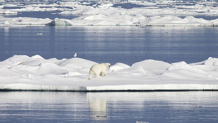 Why the Arctic Is Heating Up at Breakneck Speed