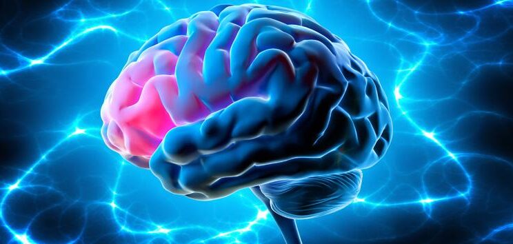 When the Brain’s Waste System Fails Attention May Suffer in Adults with ADHD