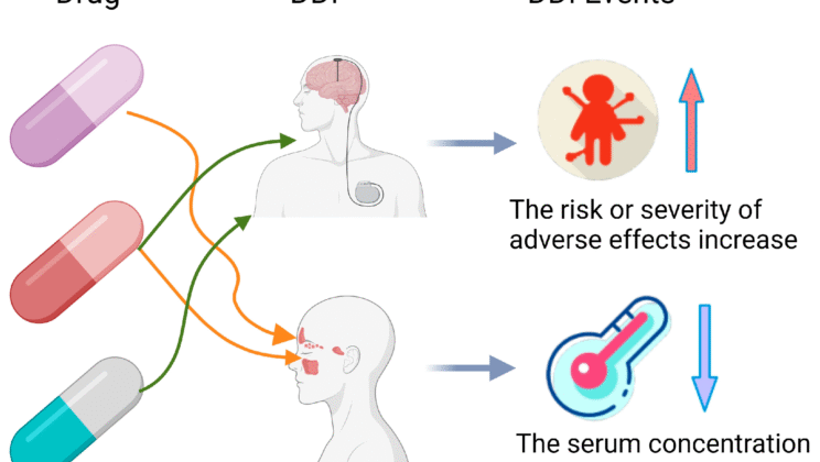 The Science of Drug Interactions: What You Need to Know