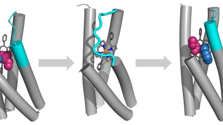 Scientists Design Enzymes from Scratch That Could Revolutionize Chemistry