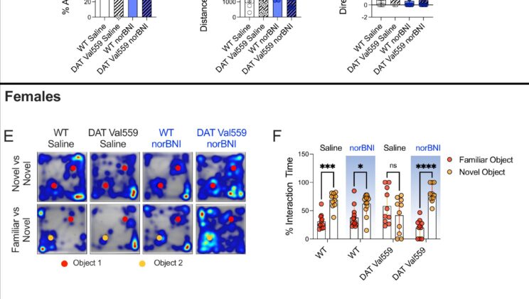 Scientists Discover How to Fix Faulty Dopamine Without Addiction Risk