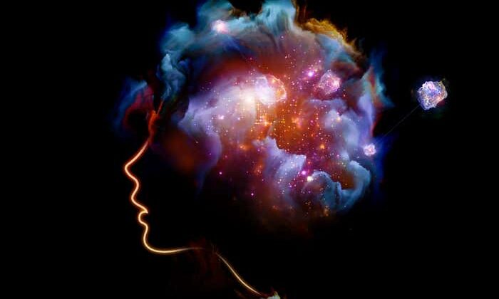 Consciousness May Come from Sensation, Not Thought, Study Finds