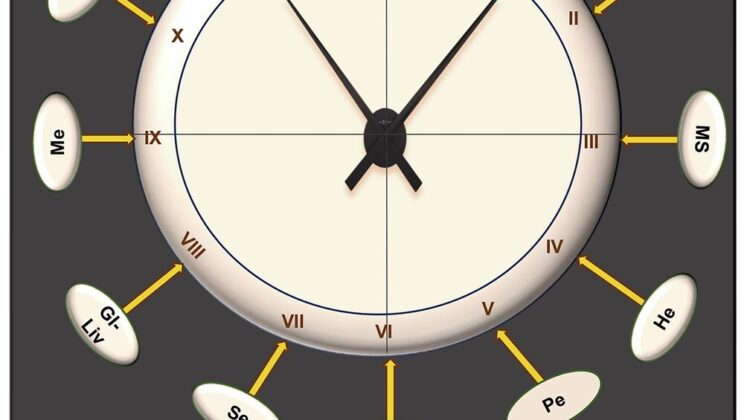 Scientists Develop Eight-Metric System to Decode the Pace of Human Aging