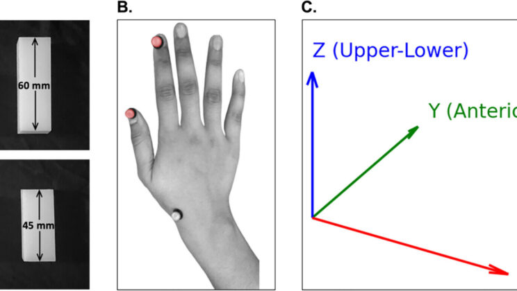 Study Finds Finger Movements Can Reveal Autism with 85% Accuracy