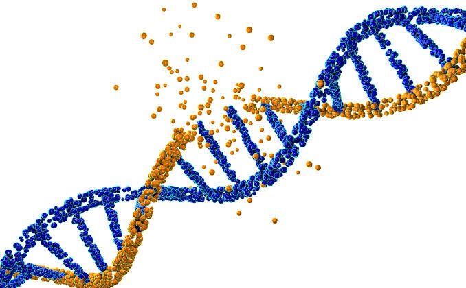 Dangerous DNA Myths? New Study Connects Far-Right Support to Genetic Determinism