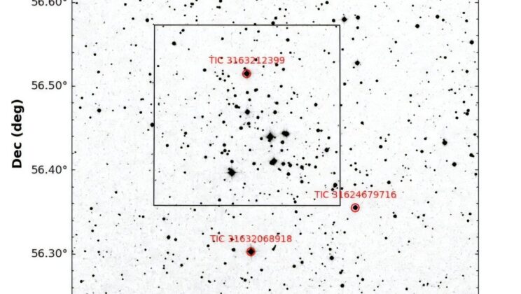 Indian Astronomers Discover Three Variable Stars in King 6