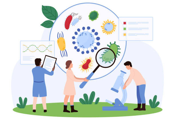 What Is Epidemiology? Tracking Disease Through Science