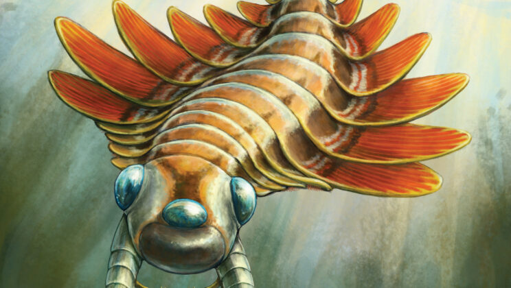 Paleontologists Discover 506-Million-Year-Old Predator in Burgess Shale