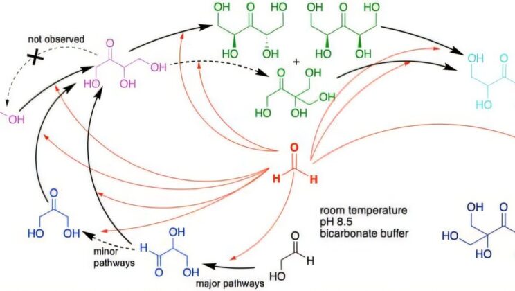 Rethinking the Origins of Life’s Sweet Beginnings