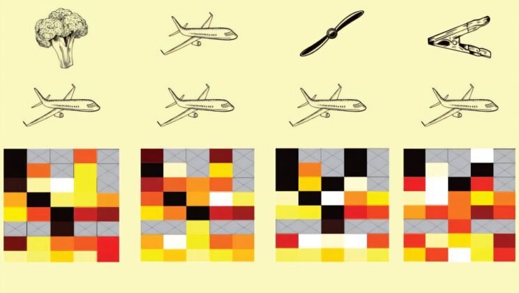 How the Brain Builds a World: Visual Perception, Feedback, and the Power of Experience