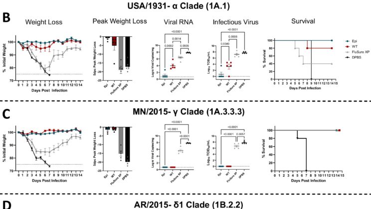 End of Annual Flu Shots? New Universal Vaccine Could Make Them Obsolete