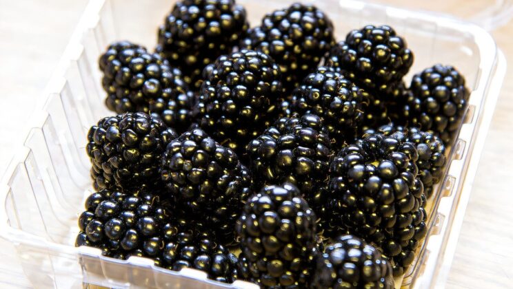 Scientists Crack the Genetic Code Behind Thornless Blackberries