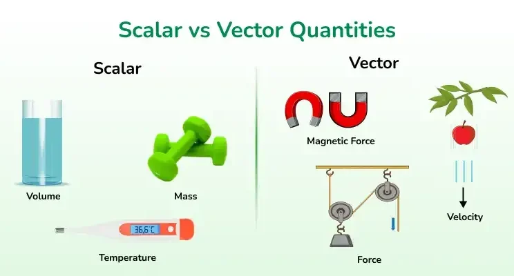 What Is Scalar vs Vector? Key Concepts in Physics