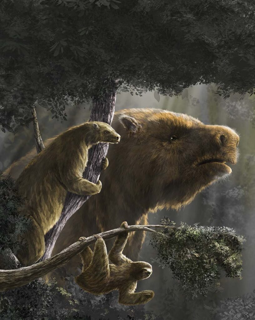 Sloths Once Ruled the Earth on Giant Feet and Guts of Steel