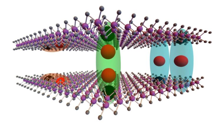 Quadrupolar Excitons Discovered in 2D MoSe₂ Unlocking a New Realm of Quantum States