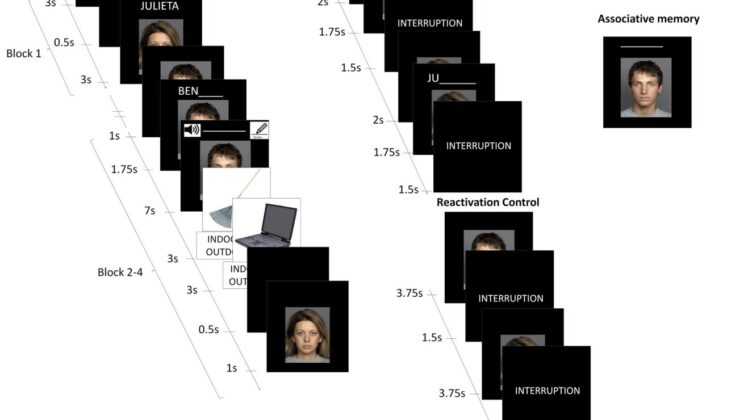 Remembering One Thing Can Make You Recall More Than You Realize